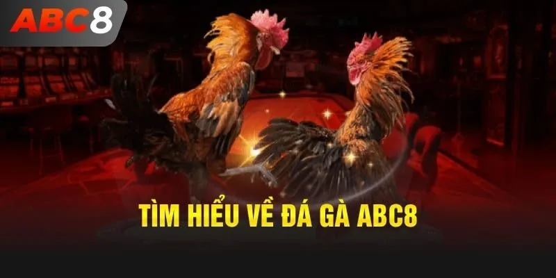Sơ lược về trò chơi đá gà ABC8